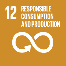 responsible consumption and production ESG framework