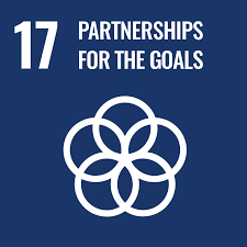 partnerships for the goals ESG framework